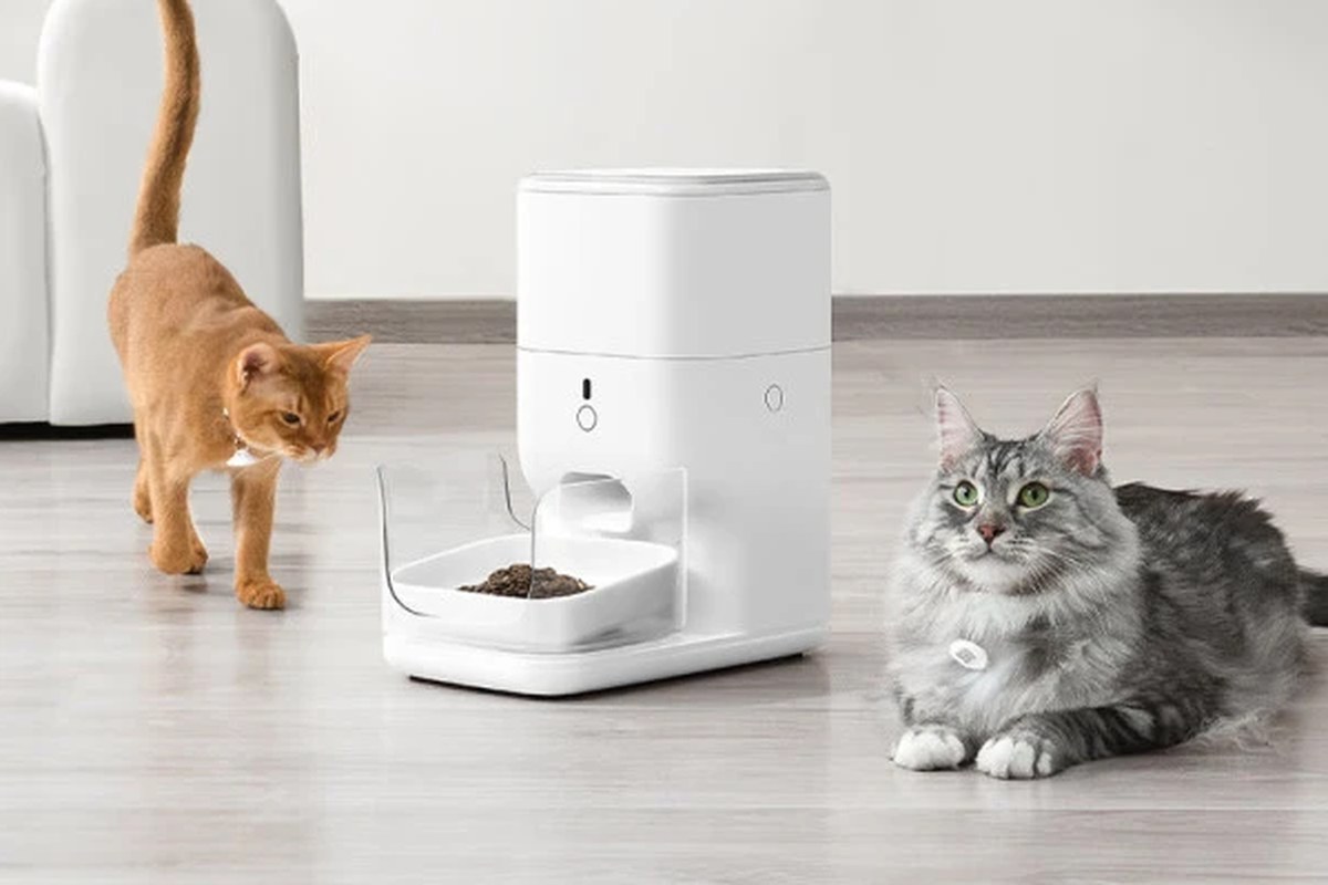 Cat eating from an automatic smart feeder